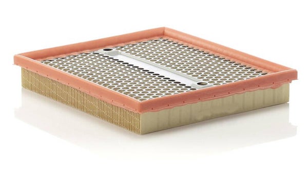 Luchtfilter Purolator A37552