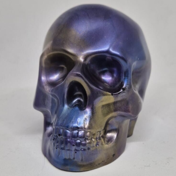 Skull L Universe Opaque