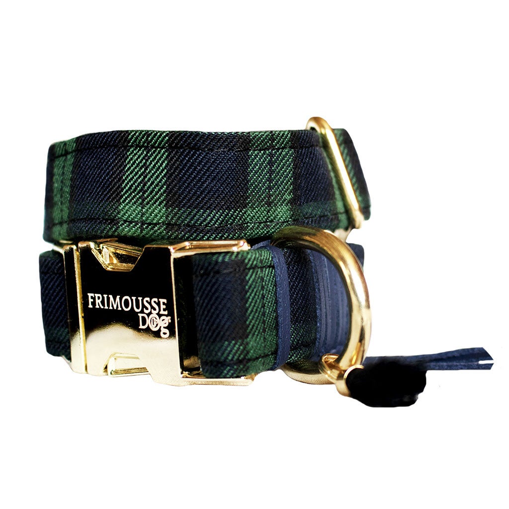 Collier pour chien « Shelby »