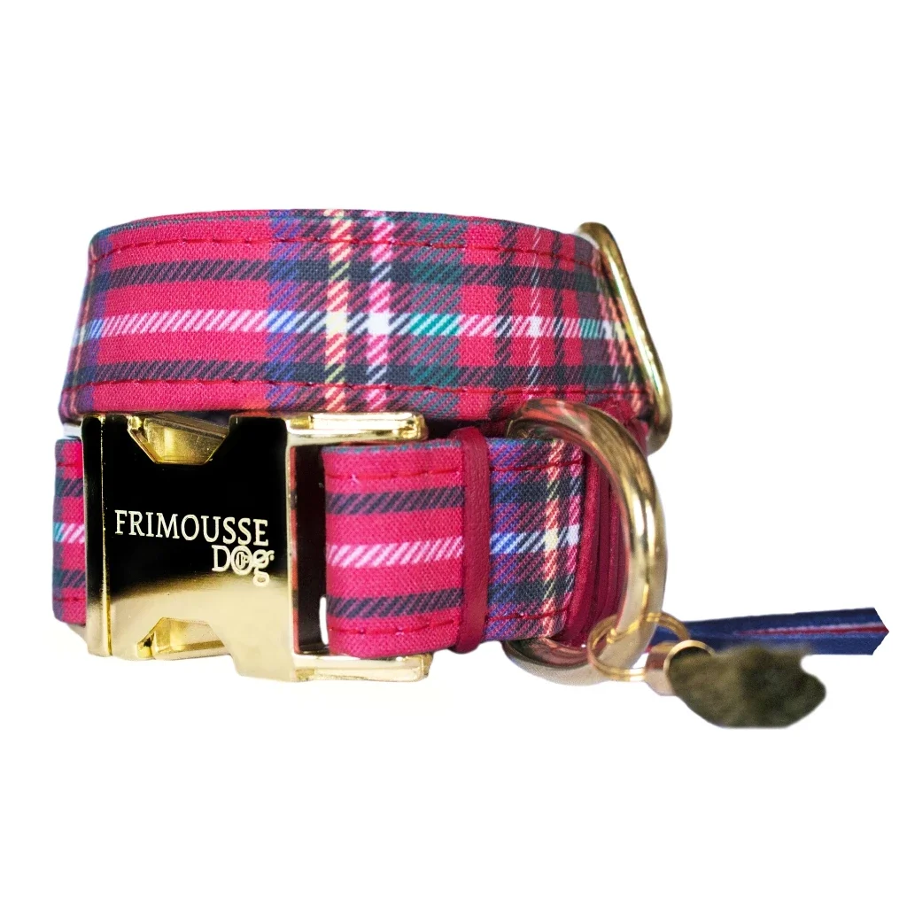 Collier pour chien « Sherlock »