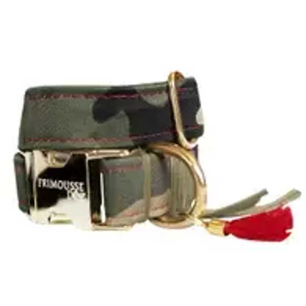 Collier pour chien « Colonel »