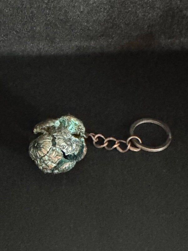 Zypressen Zapfen Schlüsselanhänger