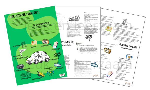 DOWNLOAD POSTER |  Executieve functies autometafoor