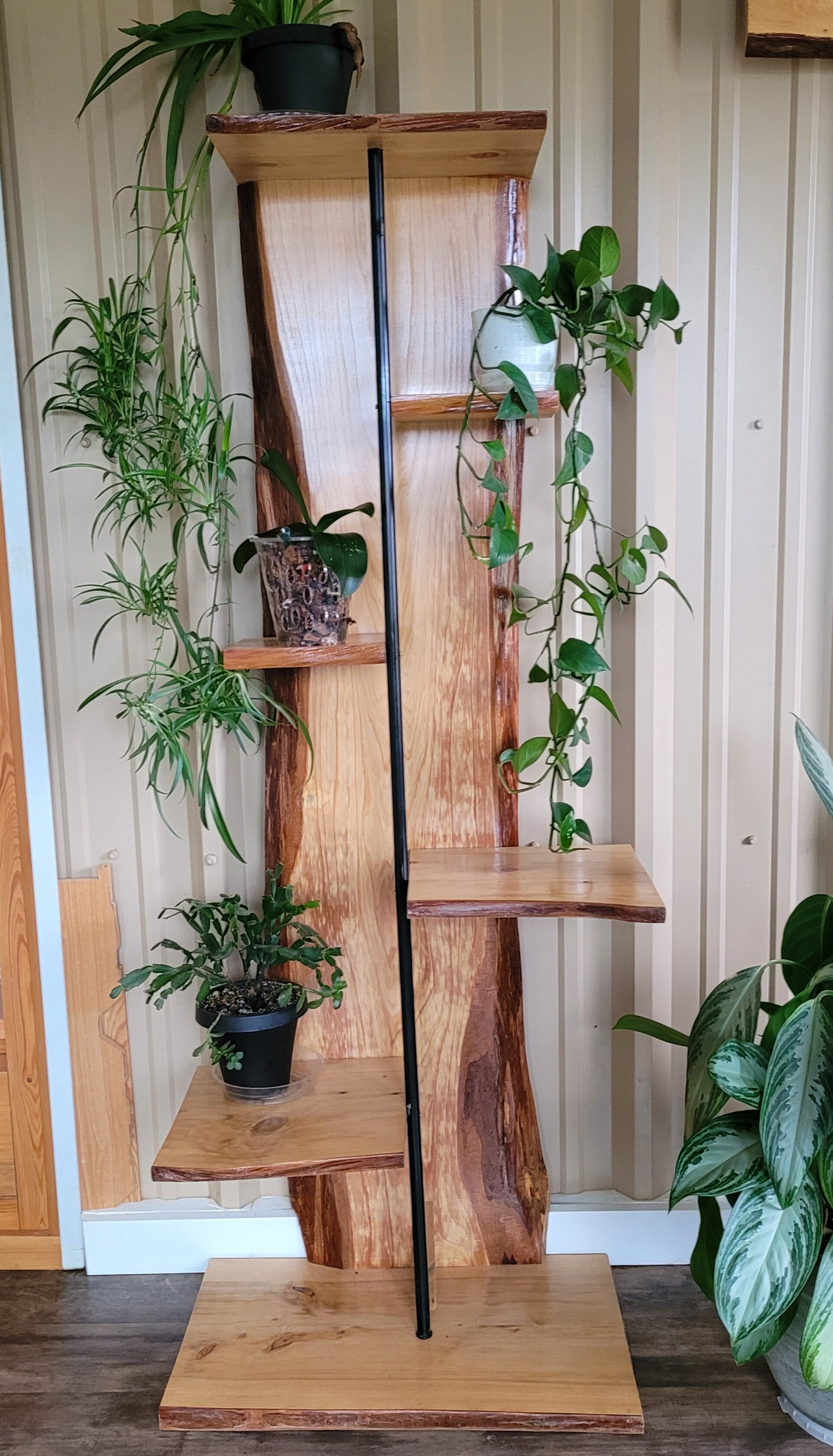 Live edge cypress plant stand