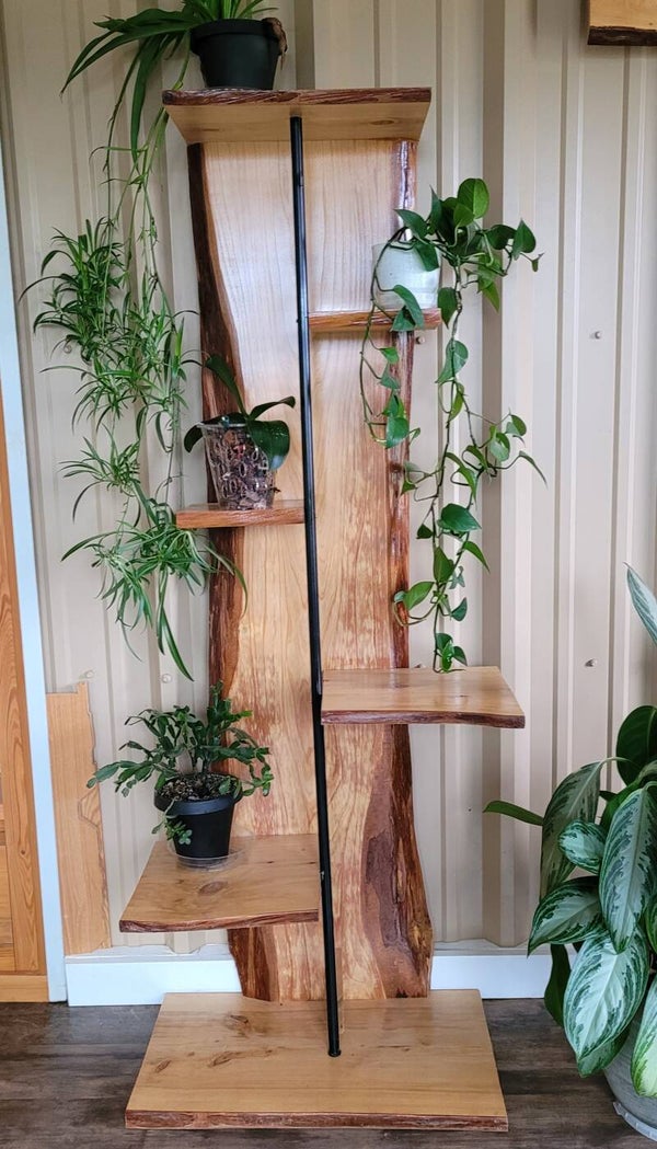 Live edge cypress plant stand