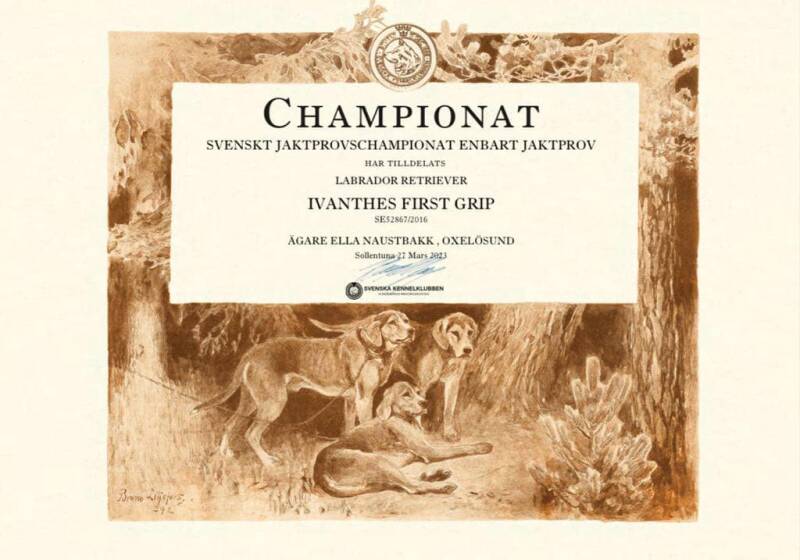 Grips Championats tavla