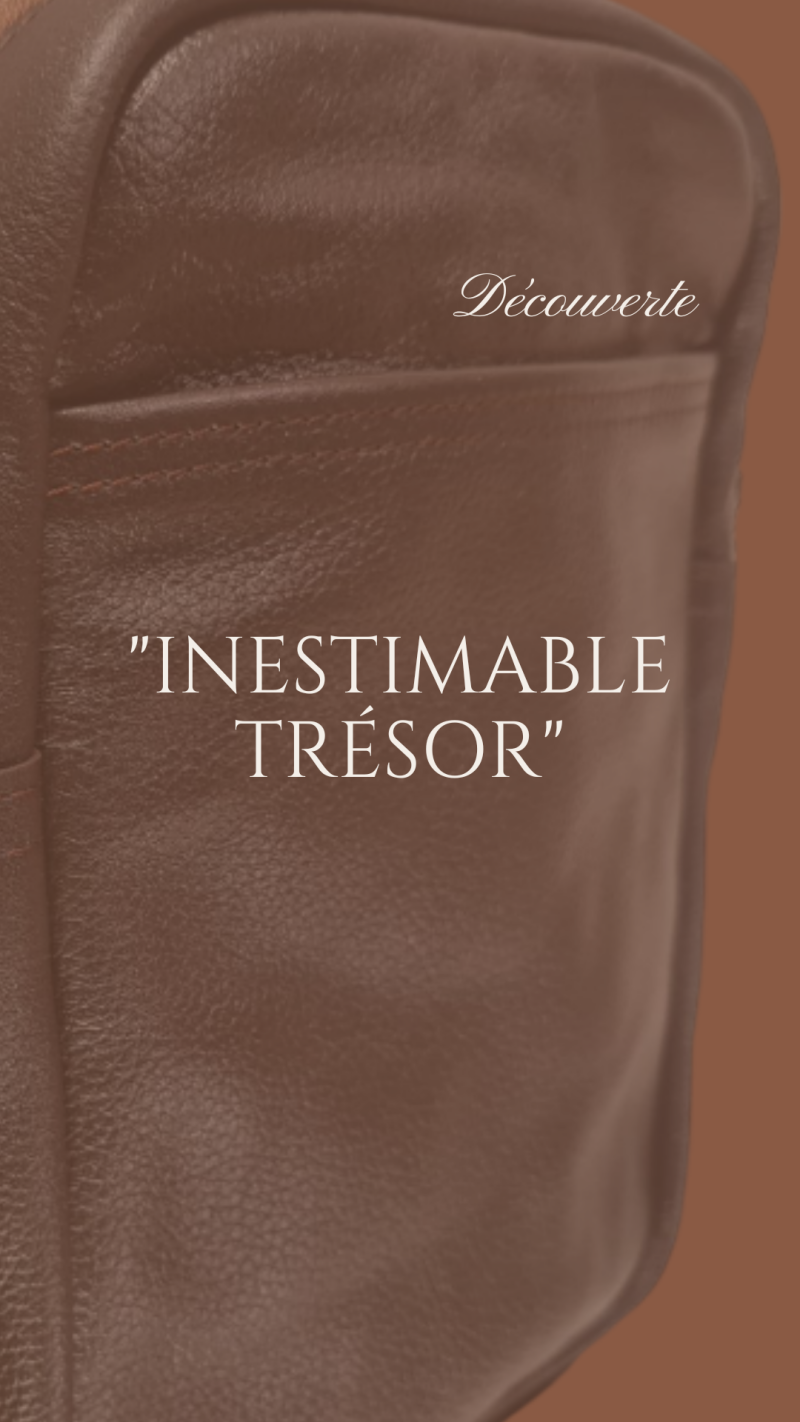 fond d'écran représentant une sacoche au titre accrocheur : "inestimable trésor"