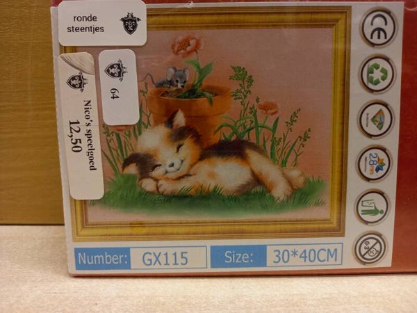 Diamond  Painting Poes