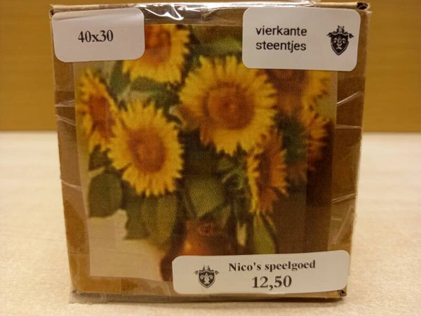 Diamond  Painting Bloemen