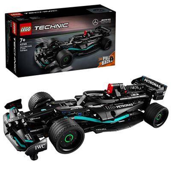 Technic 42165