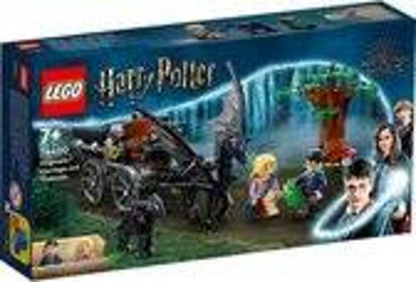 Harry potter 76400