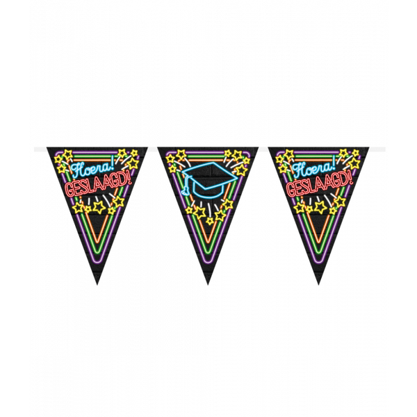 Neon party vlag
