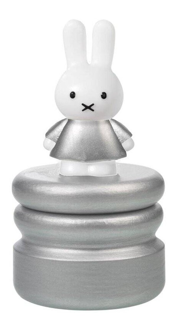 nijntje melktanden/Haarlok doosje