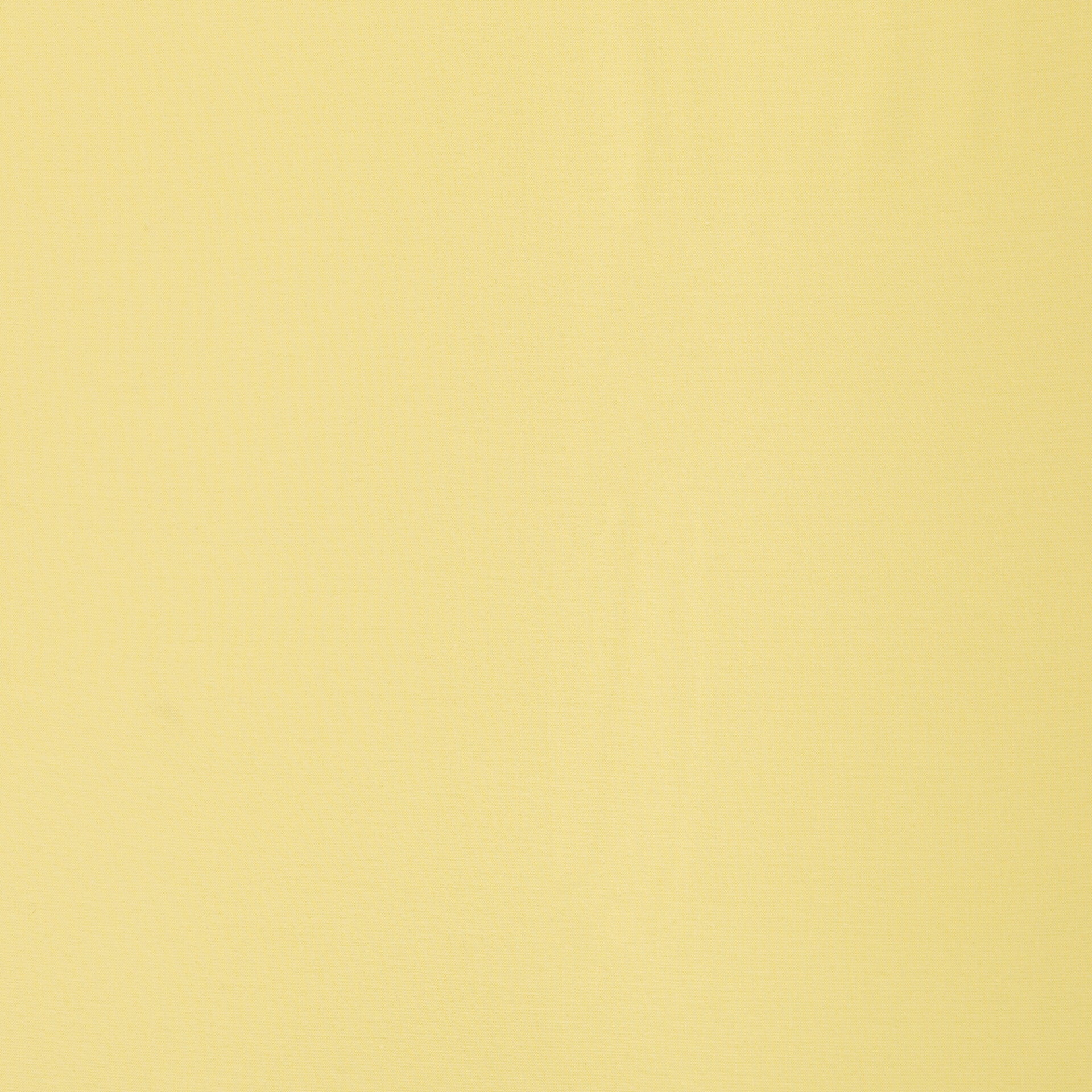 Vanessa Baumwolljersey / verschiedene Farben