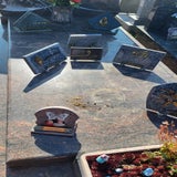 20250429_164707-standard.jpg