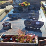 20250429_170845-standard.jpg