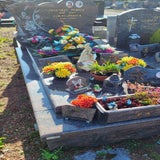 20250429_172349-standard.jpg