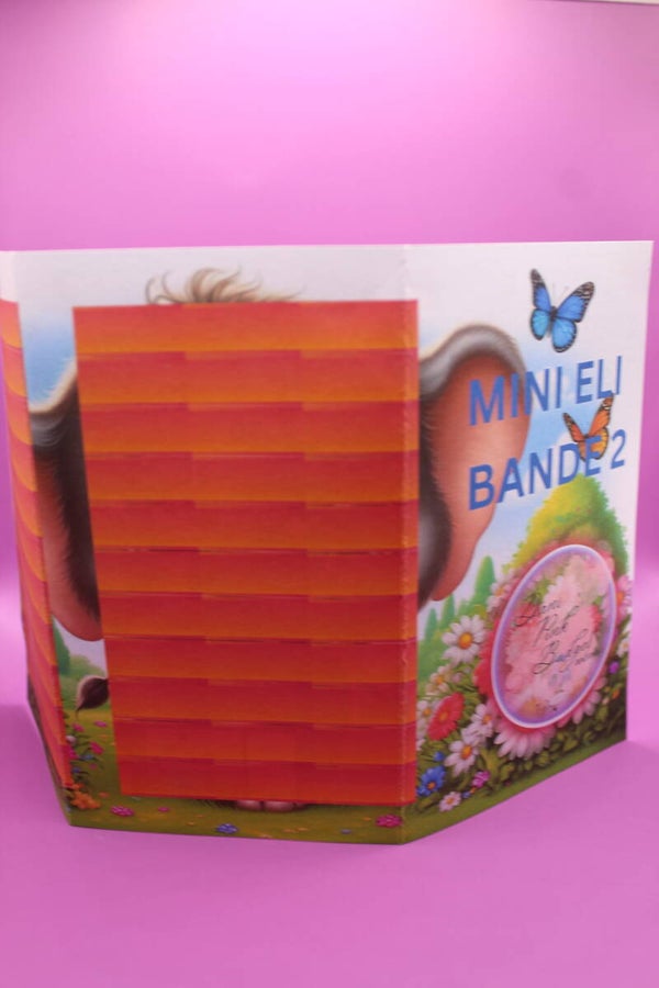 Mini Eli Bande 2