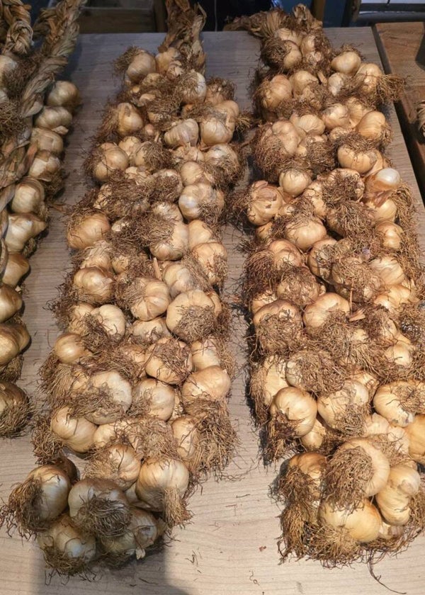 NIEUW!!! Grote streng gerookte knoflook