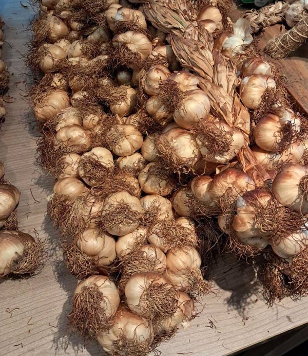 NIEUW!! Prachtige gerookte knoflook streng