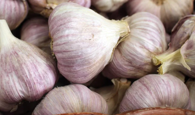Losse bollen - Violet knoflook