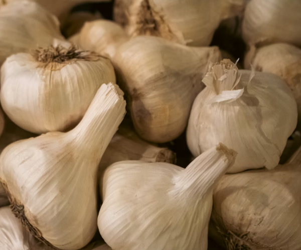 Losse bollen - Witte Knoflook
