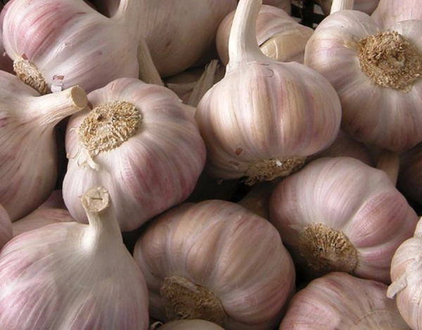 Losse bollen - Dutarn Knoflook