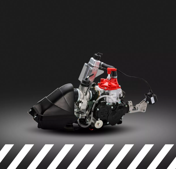 125 Mini MAX Evo MY20