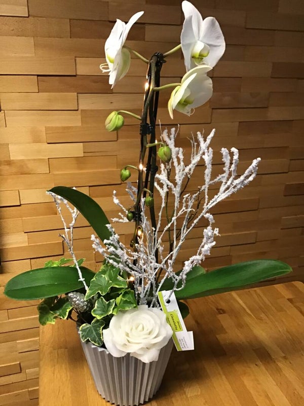 Orchidee met lichtjes