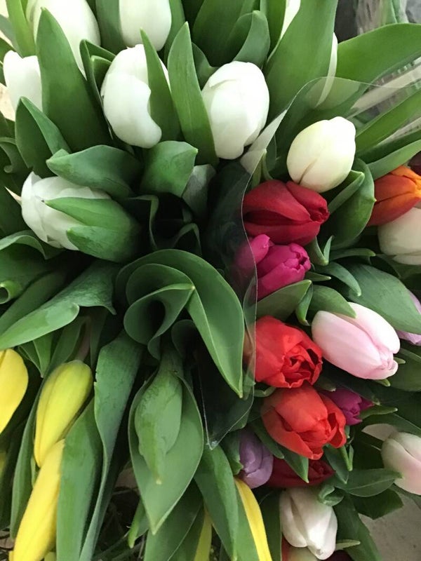 Tulpen mix met groen.