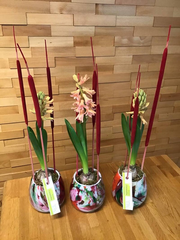 Klein vaasje met hyacint.