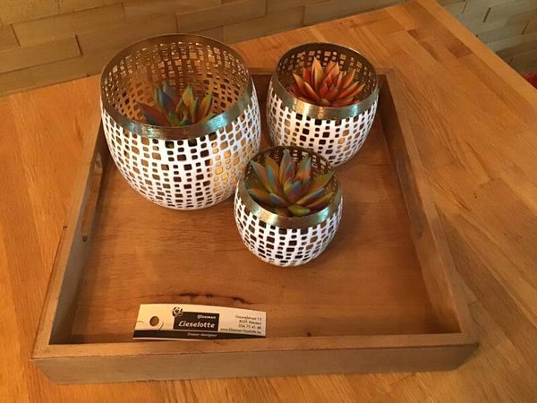 Hout plateau met th- lichtjes met plantjes