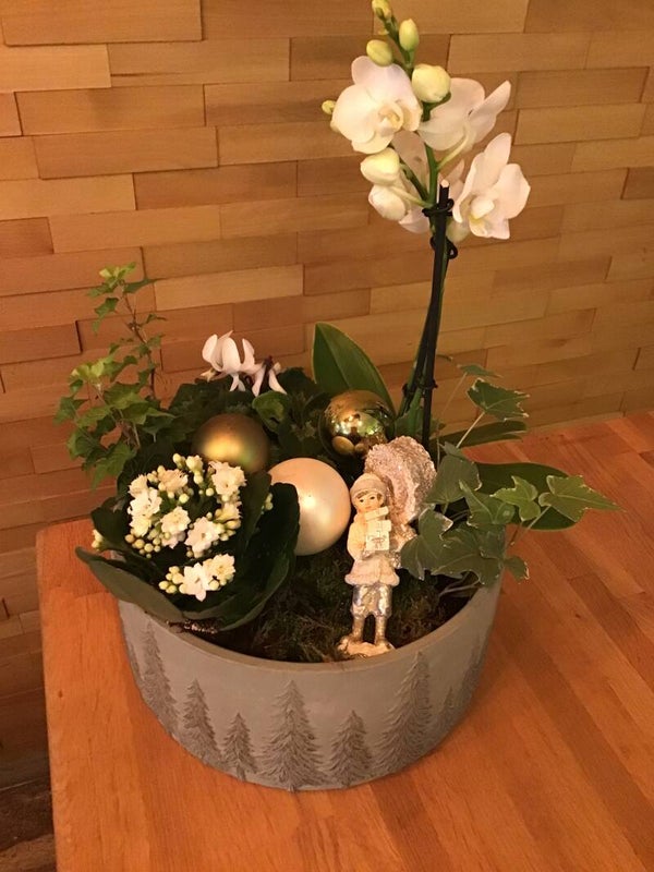 Opgevulde kerstcoupe