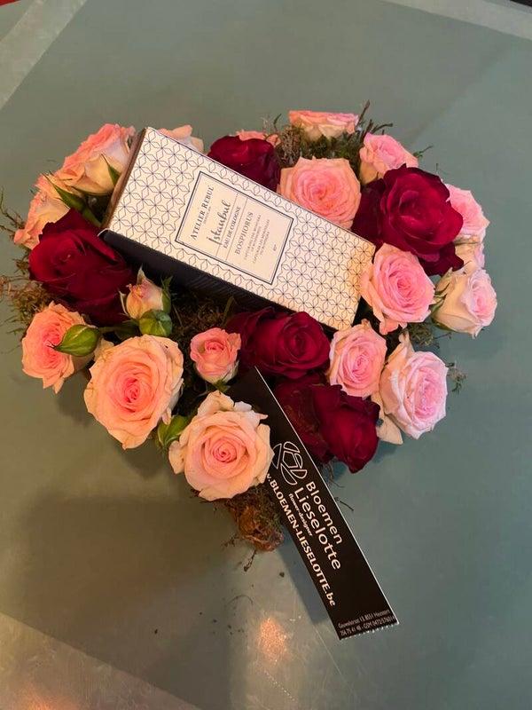 Hart met Istanbul bosphorus