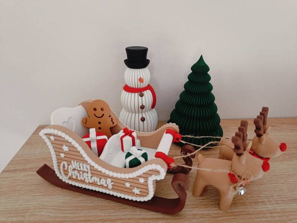 3D slee met 2 rendiertjes 'Dasher'