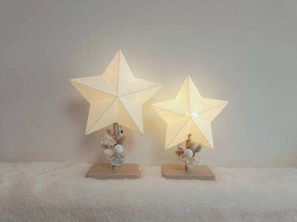 3D Ster op staander met licht