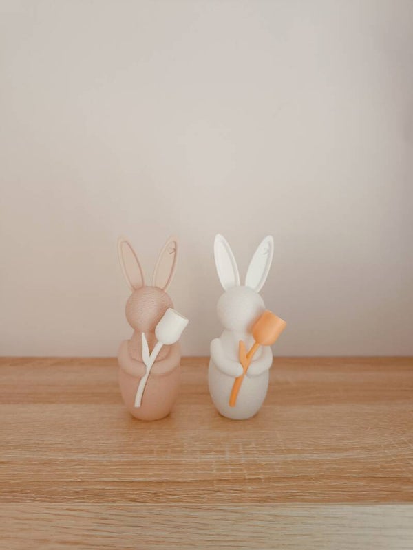 3D Mini 'bunny' met tulp