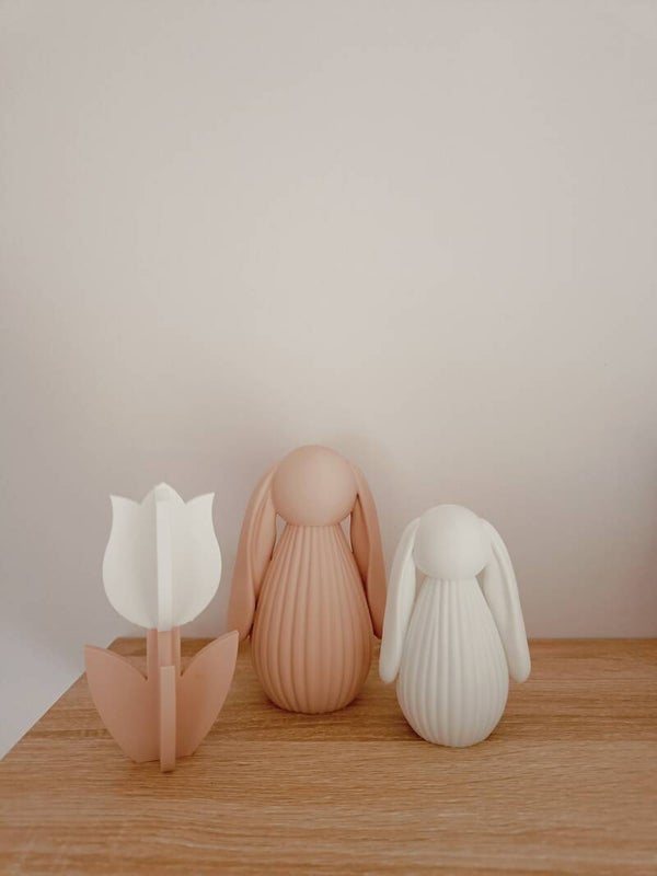 3D tulp 2-kleurig