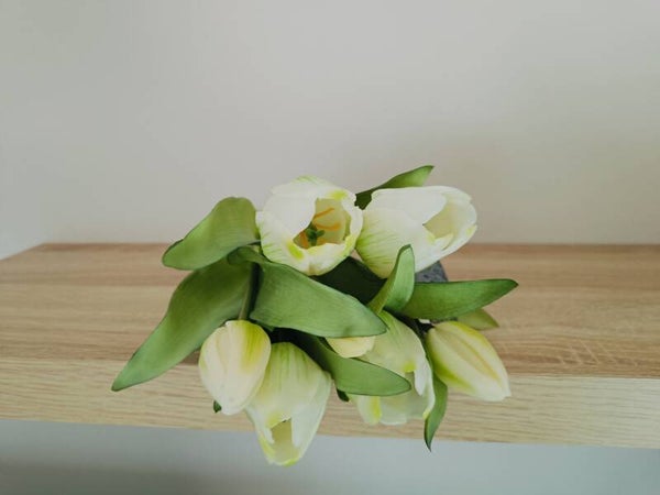 Tulpen 'real touch'