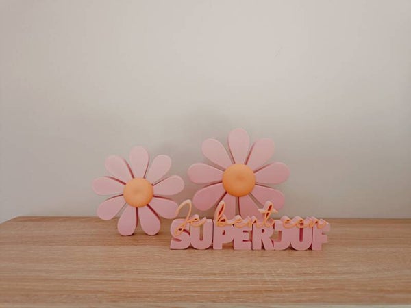 3D tekst 'Je bent een superjuf'