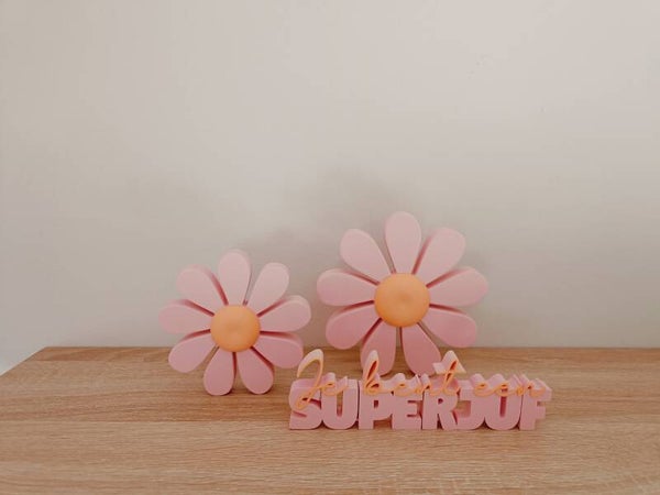 3D tekst 'je bent een superjuf'