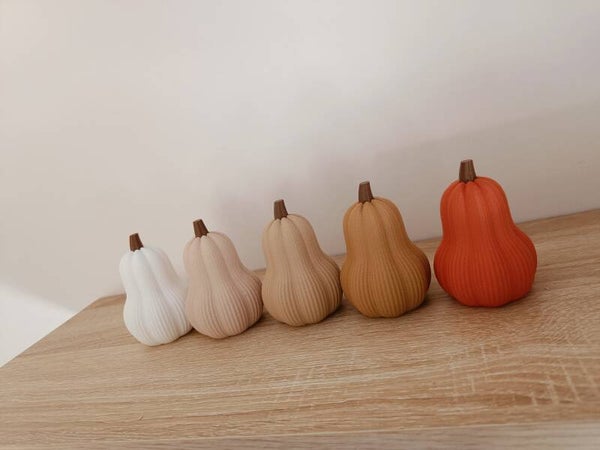 3D retro 'butternut' pompoen S