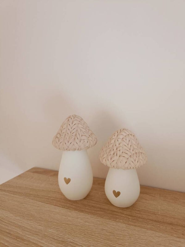 3D 'knitted' paddenstoel met uitgesneden hart