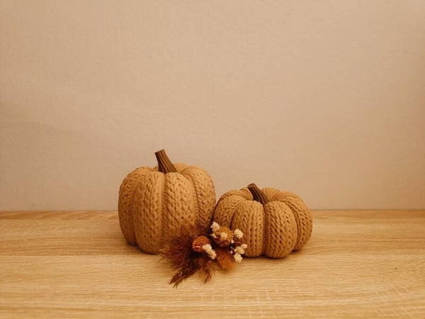 SET 2 pompoenen 'karamel'