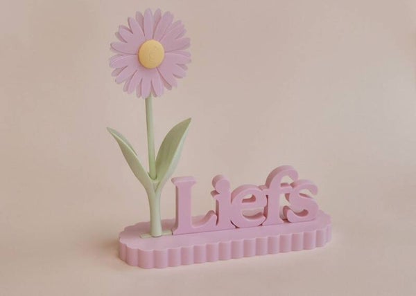 Staander madelief met tekst 'Liefs'