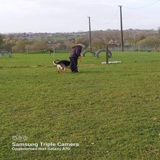 1714038079191-standard.jpg