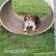 1714038079266-standard.jpg