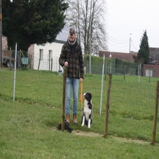 img_0006-standard.jpg