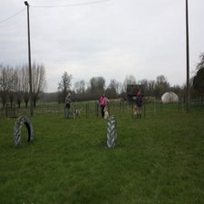 img_0012-standard.jpg
