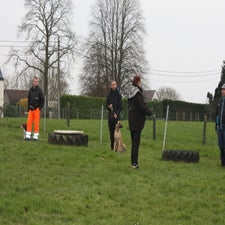 img_0020-standard.jpg